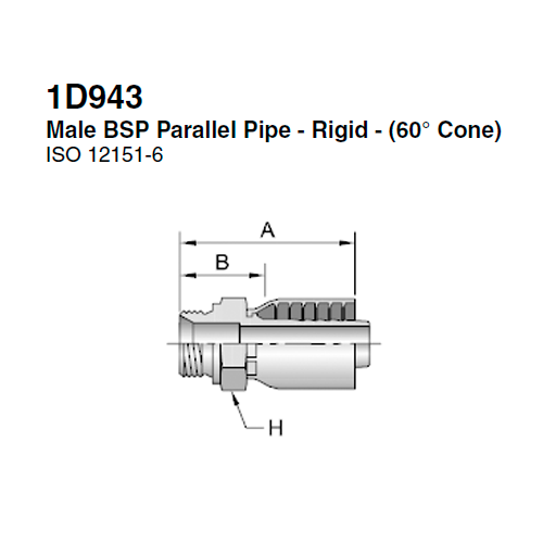 D Male Bsp Parallel Pipe Rigid Cone Iso